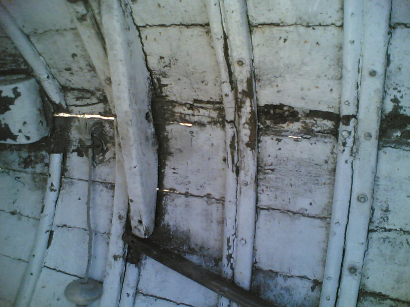 [Immagine: 20126422556_chiglia 091.jpg]